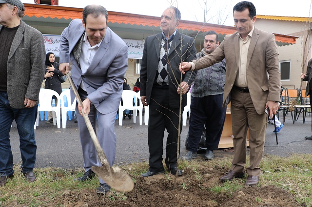 کاشت نهال درخت توسط شهردار لاهیجان در آسایشگاه سالمندان